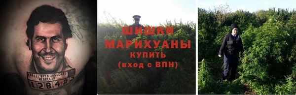спиды Алзамай