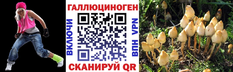 наркошоп  Жуковский  Псилоцибиновые грибы прущие грибы 